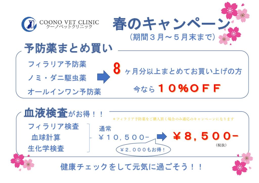 現在の画像に代替テキストがありません。ファイル名: d1cf2a4d217123e7c955f116a0ea3101-2-pdf.jpg